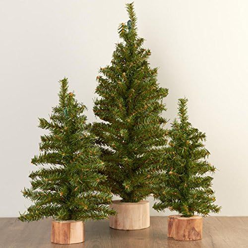 Set of 3 Artificial Canadian Pine Trees with Wood Bases by Factory Direct Craft - Tabletop Assort... | Amazon (US)
