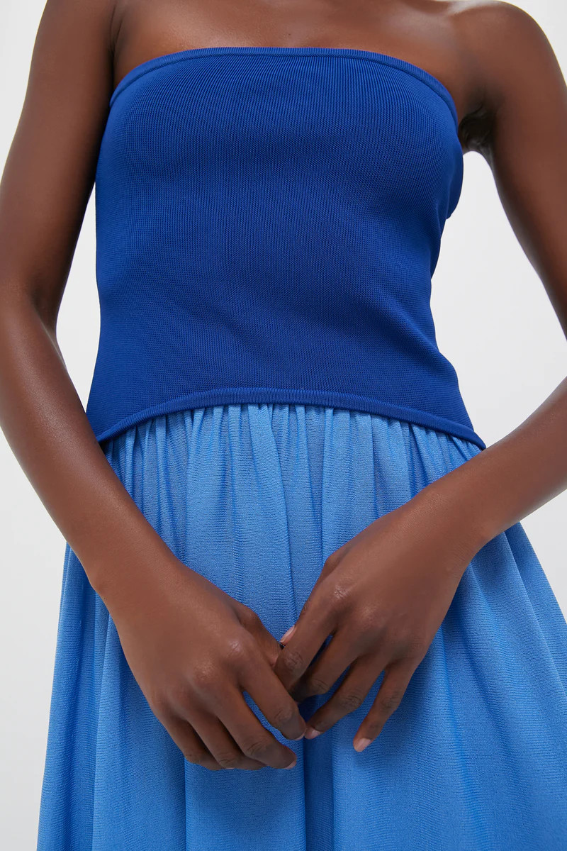 Maritime Navy and Marina Blue Strapless Soglio Dress | Tuckernuck (US)