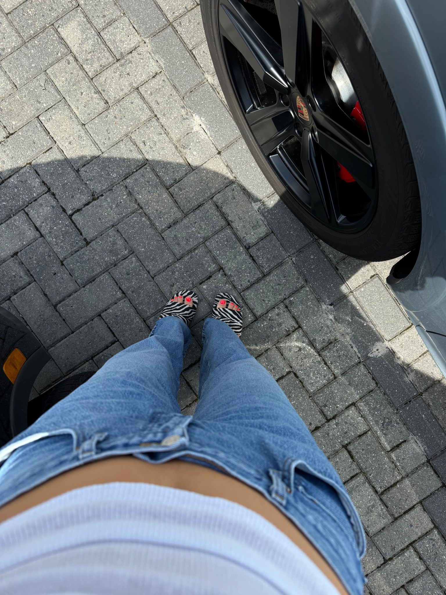 can’t believe these are only $12