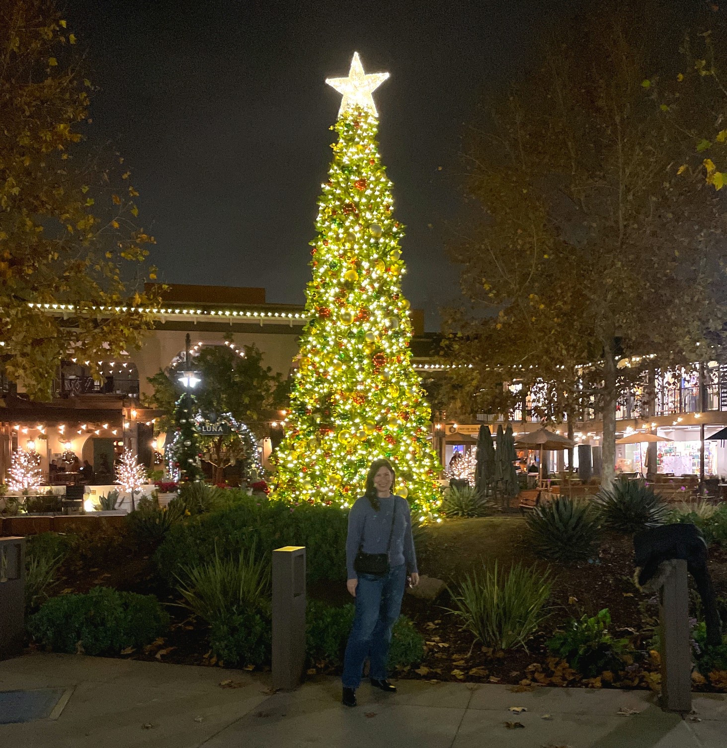 Wishing you and your loved ones a very Merry Christmas 🎄 ❤️💚

#LTKOver40 #LTKPetite #LTKHoliday