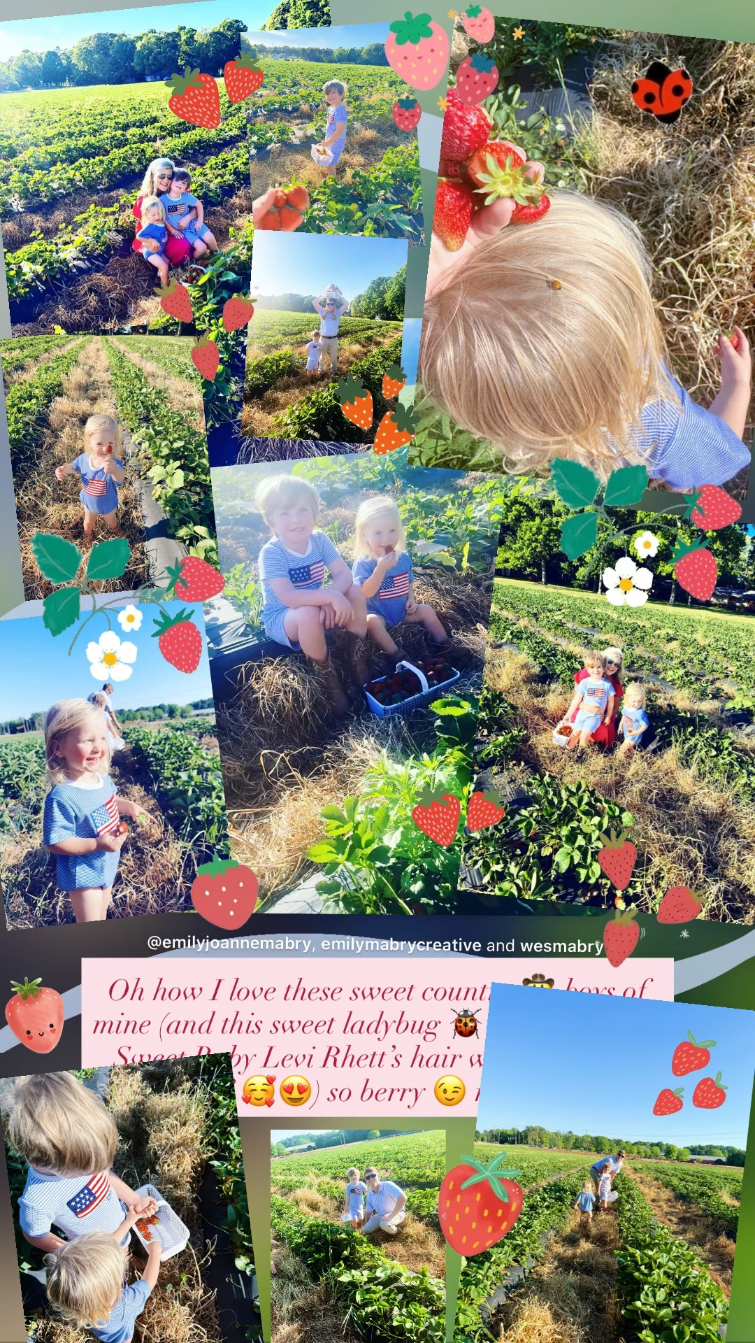 Oh how I love these sweet country 🤠 boys of mine (and this sweet ladybug 🐞 that landed in Sweet Baby Levi Rhett’s hair while we were pickin’ 🥰😍) so berry 😉 much!! ❤️