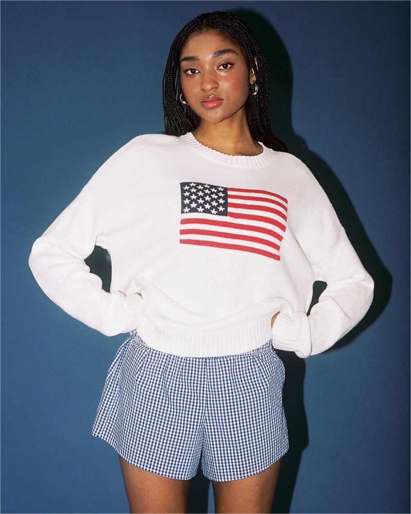 Women's American Flag Graphic Crew Sweater | Women's Tops | HollisterCo.com | Hollister (US)