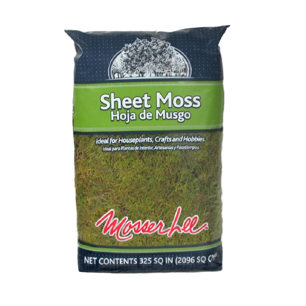 325 sq. in. Sheet Moss Soil Cover | The Home Depot