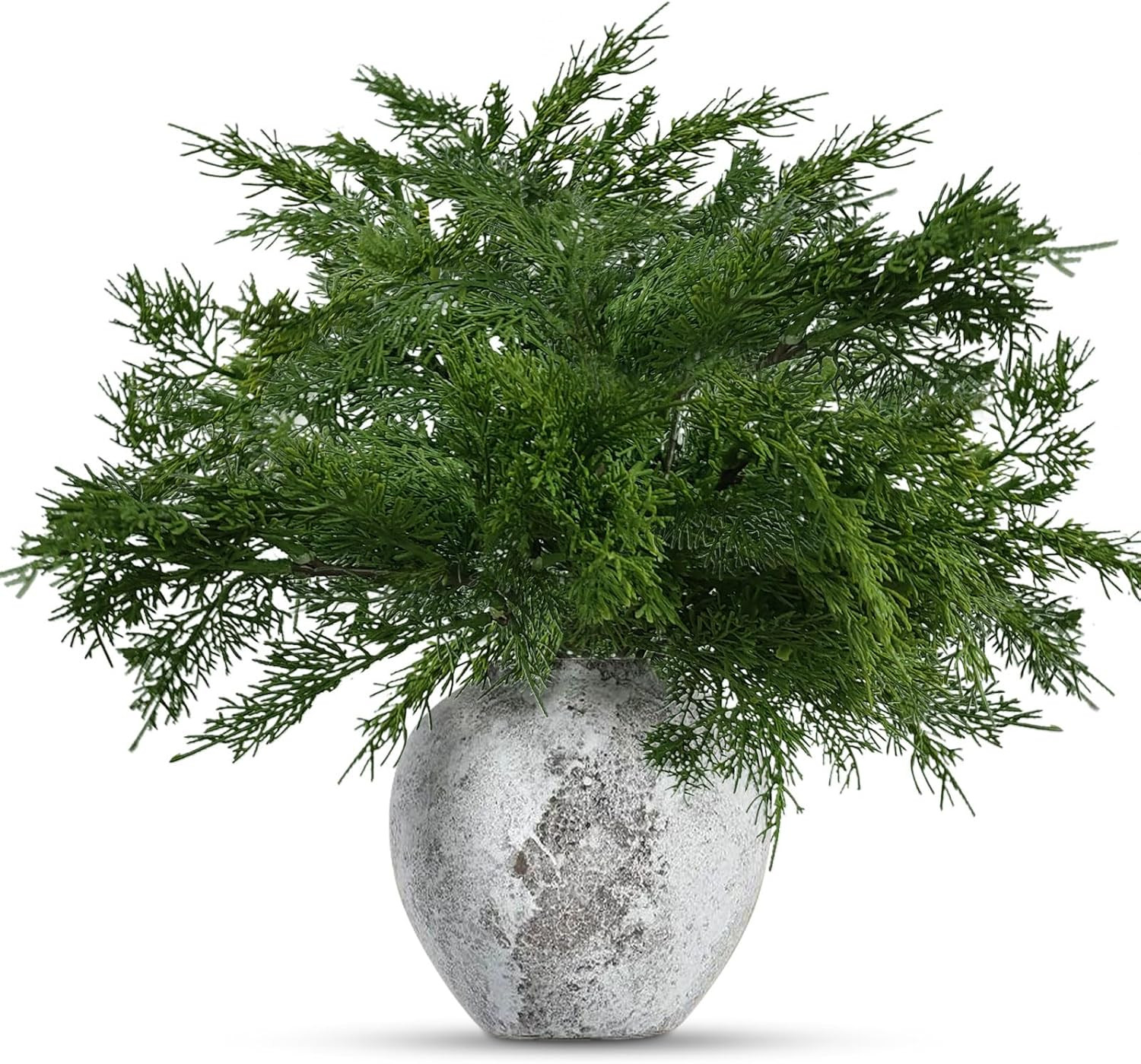 24 Pcs Christmas Norfolk Pine Branches,17 Inches Real Touch Norfolk Pine Stems,Faux Cedar Branche... | Amazon (US)