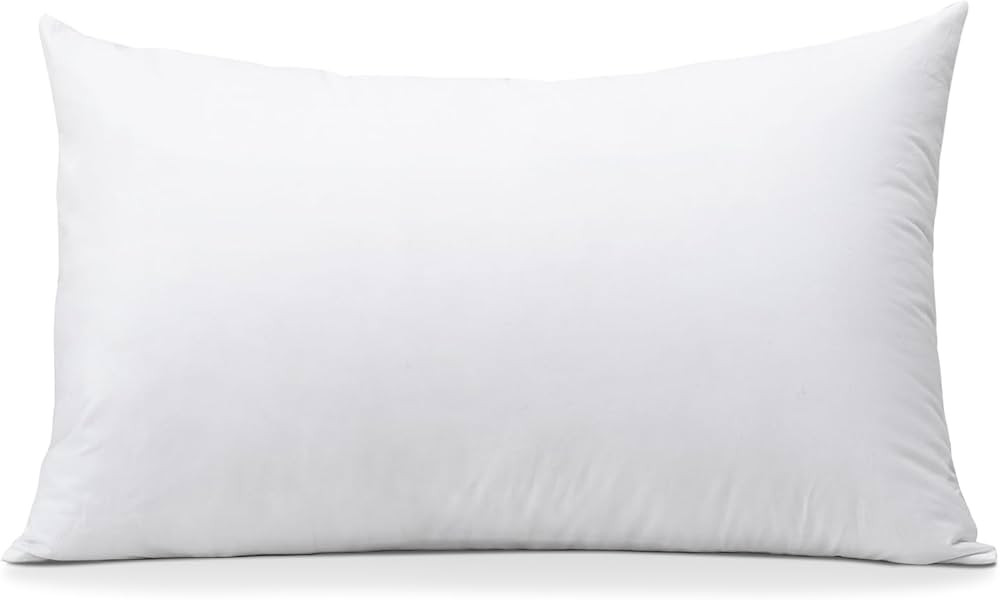 OTOSTAR Throw Pillow Insert, 12 x 20 Cushion Inner Soft Fluffy Plump Stuffer Cushion Pad White De... | Amazon (US)