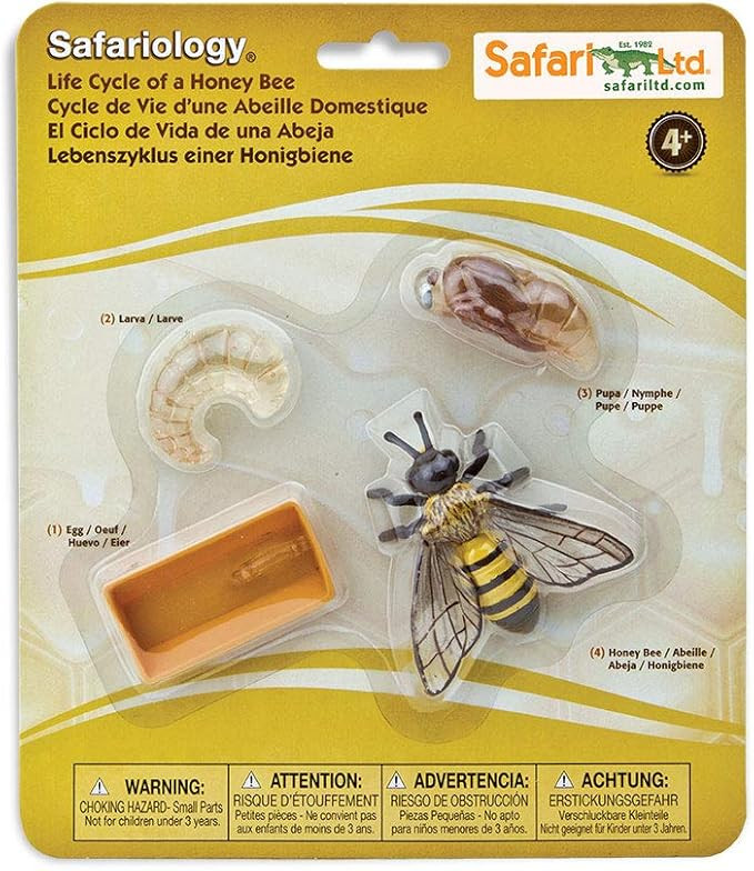 Safari Ltd. Life Cycle of a Honey Bee - Educational Toy Figurines - Miniature Bee Lifecycle Colle... | Amazon (US)