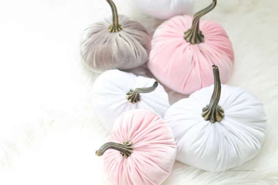 Fall Blush Velvet Pumpkins Styled Stock Photo Bundle | Etsy (US)