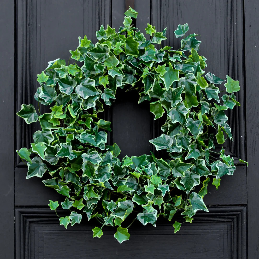 Green Variegated Real Touch English Ivy Everyday All Seasons Front Door Wreath | Darby Creek Trading