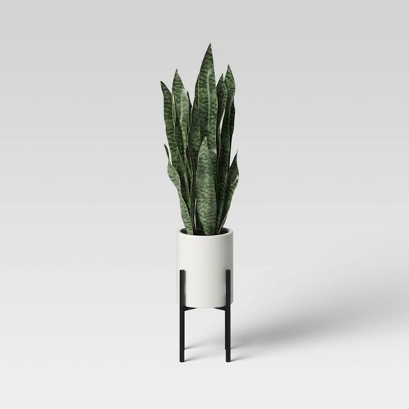 36" x 10" Artificial Snake Plant in Stand - Project 62™ | Target