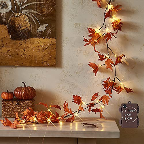 Hairui Lighted Maple Leaf Garland with Timer 6FT 24 Warm White LED, Fall Garland with Lights Battery Operated for Thanksgiving Harvest Christmas Wedding Decoration Indoor Outdoor | Amazon (US)