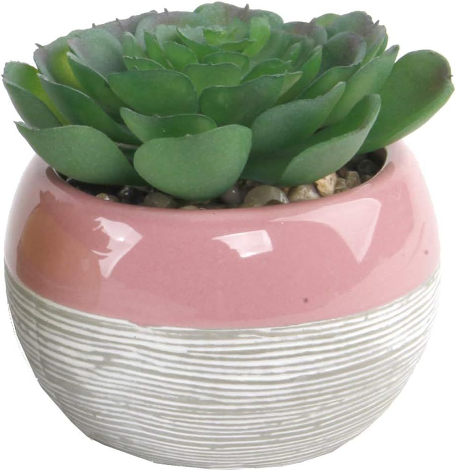 Flora Bunda Artificial Succulent in Two Tone Lines Pattern Ceramic Pot,Pink, 4" W 5" H 1 PC Echev... | Amazon (US)
