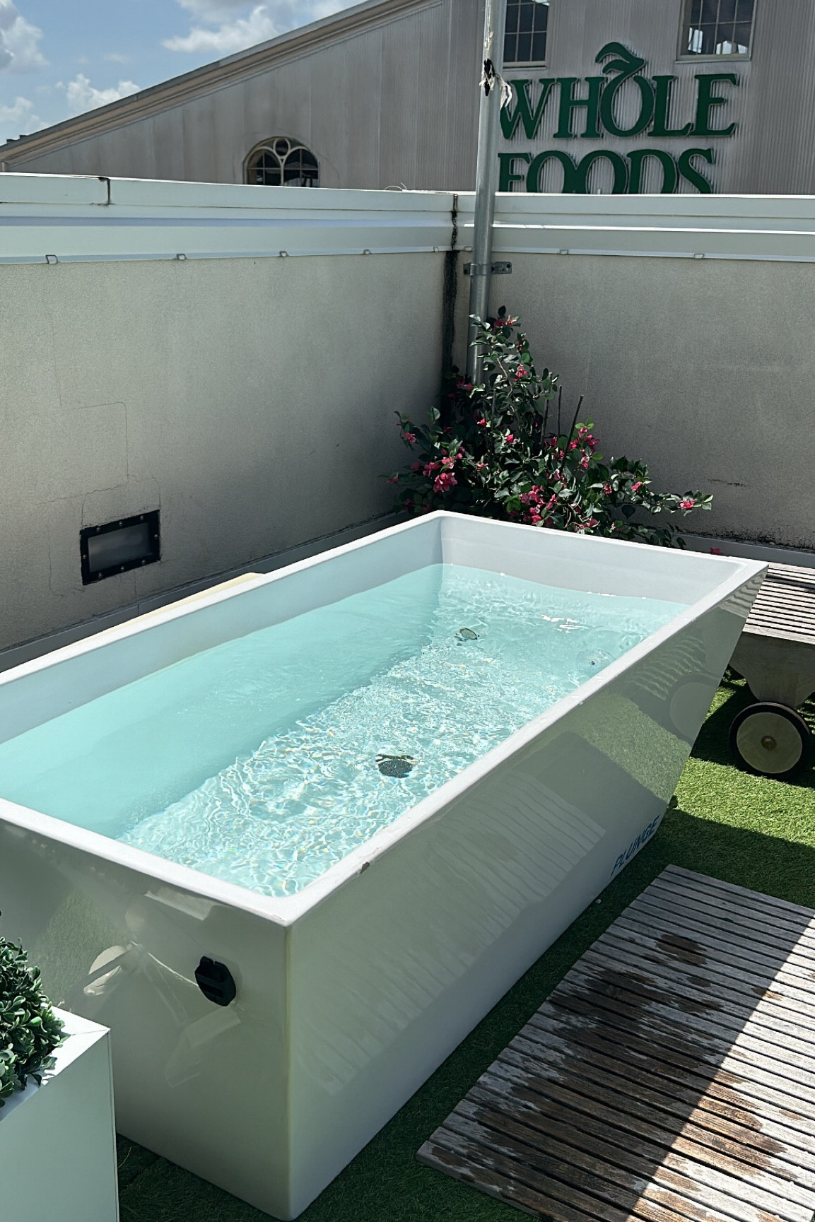 Gift guide for the biohacker health nut