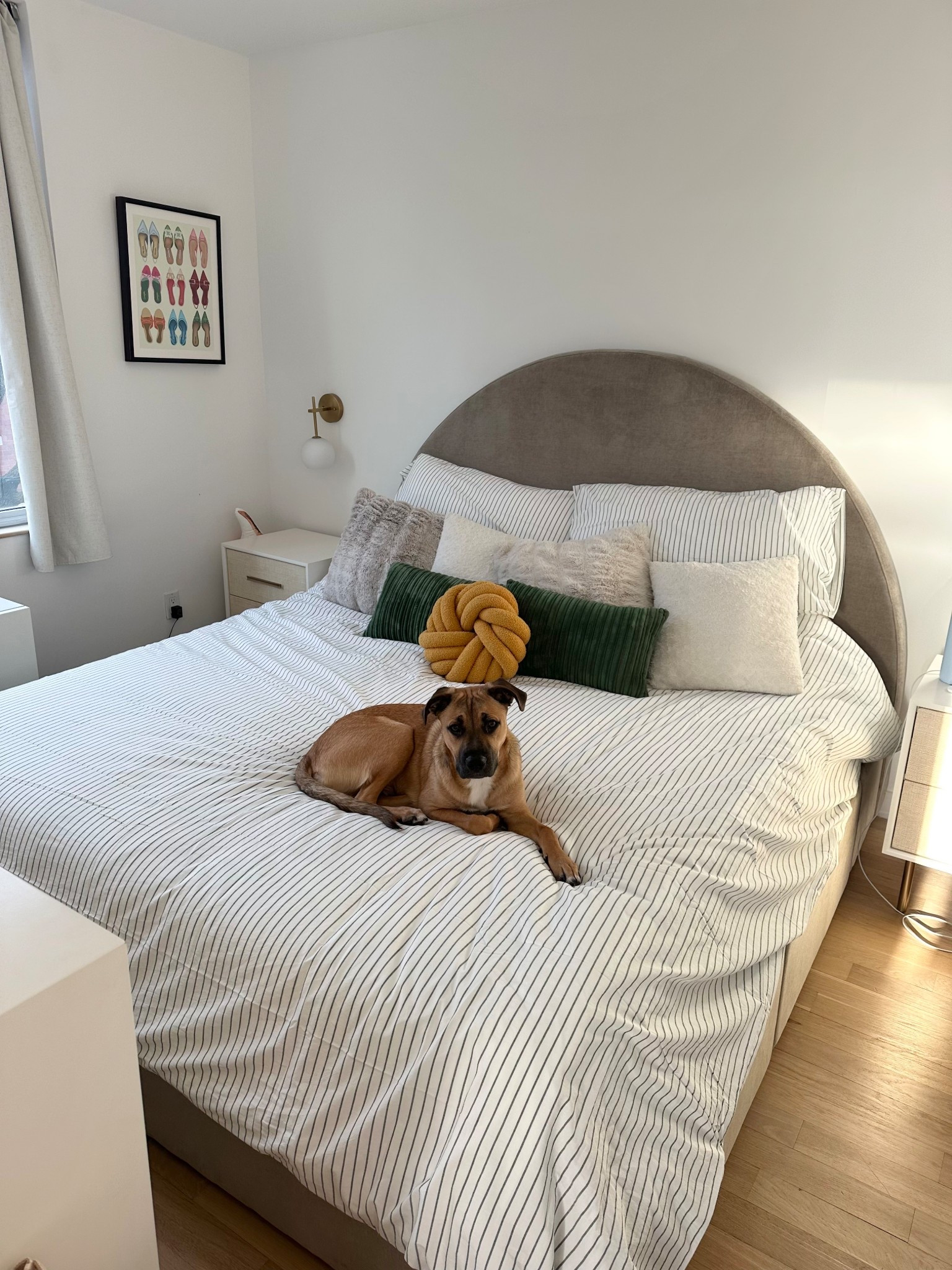 OBSESSED with my new bedding! I’ve always had comforters but now I’m doing a duvet and it’s so fluffy and comfy!!!

#LTKFindsUnder100 #LTKHome