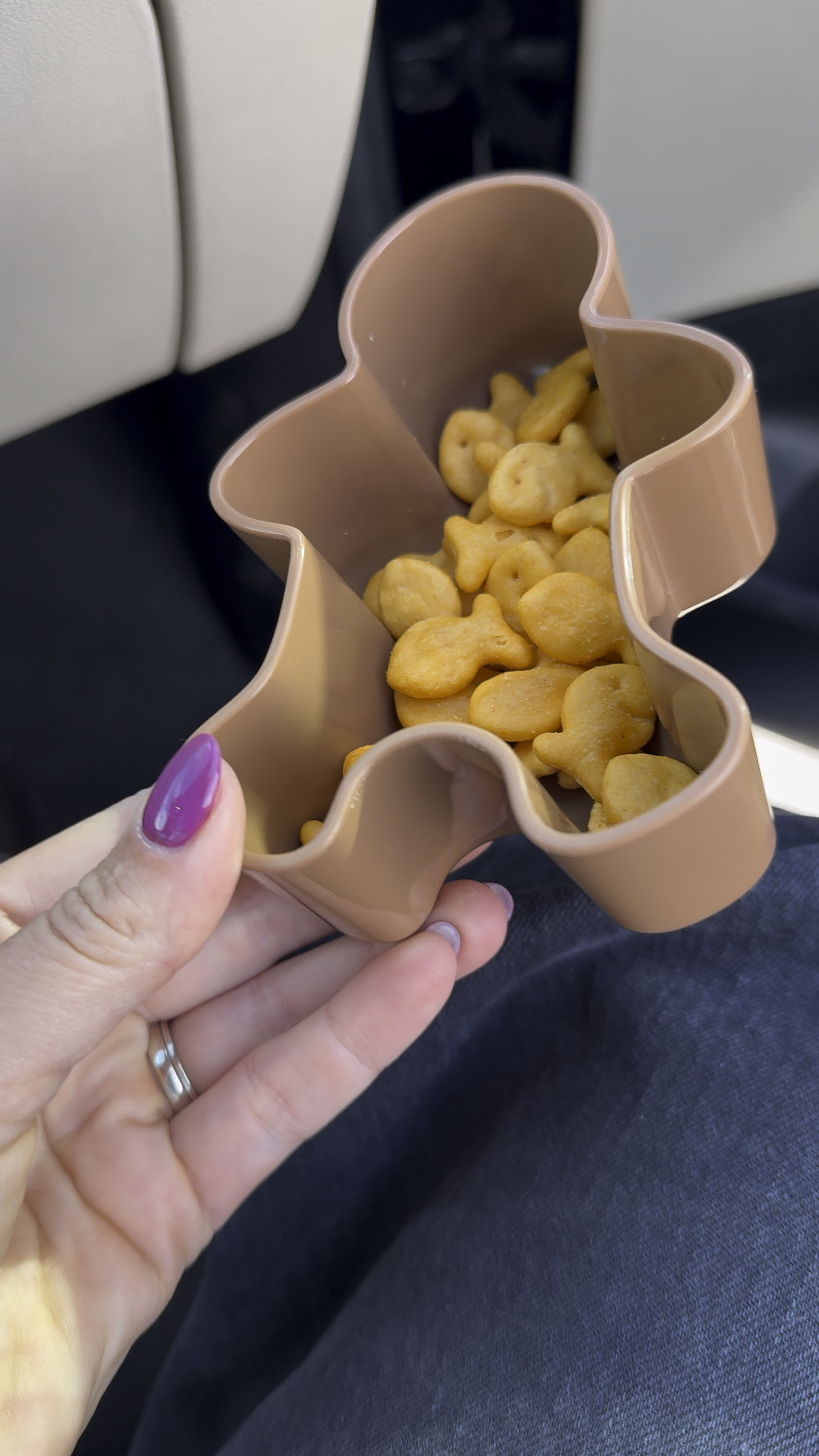 The cutest gingerbread snack container for only $3! 

#LTKHoliday #LTKSeasonal #LTKVideo