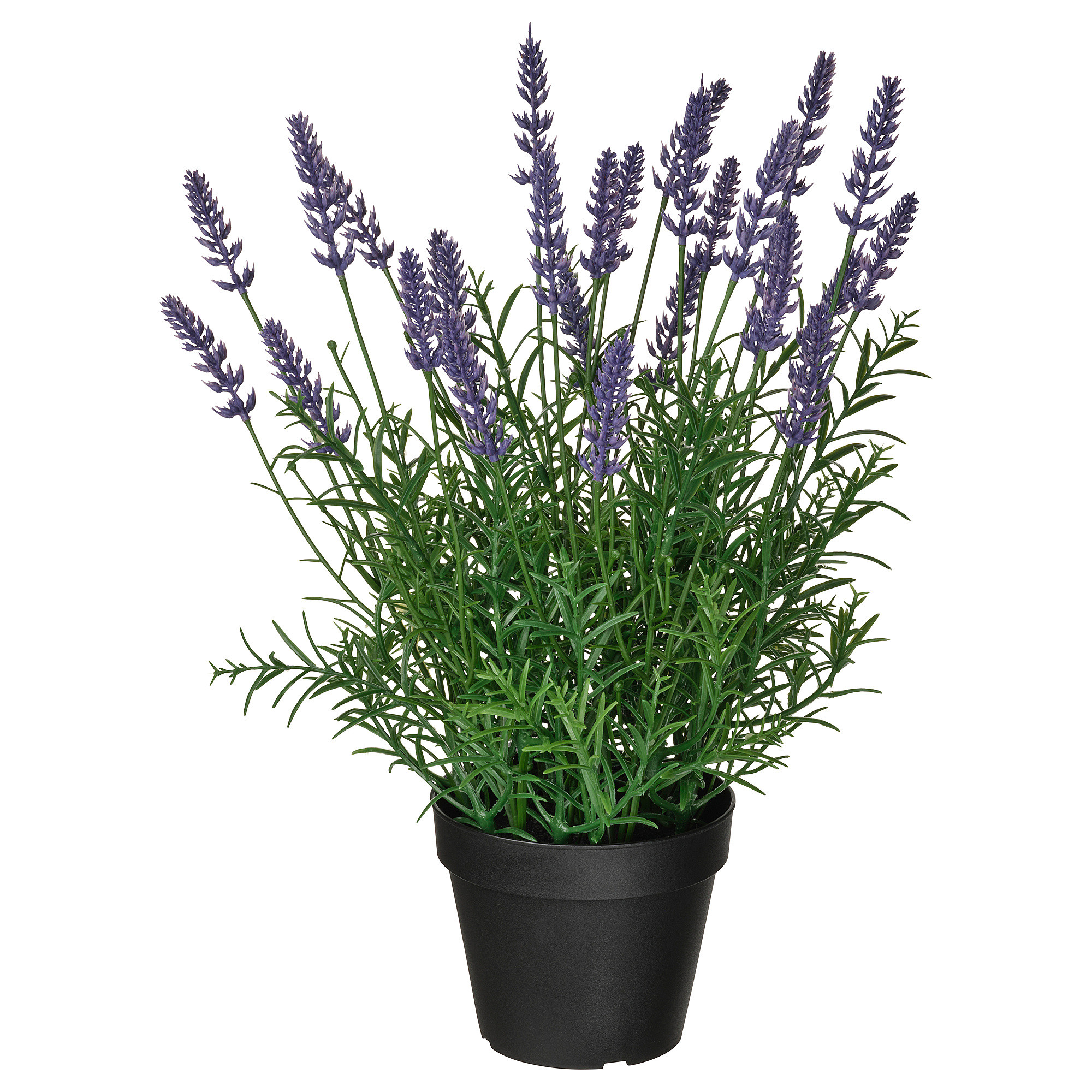 FEJKA Artificial potted plant, indoor/outdoor/lavender lilac, 4 ¾ " | IKEA US
