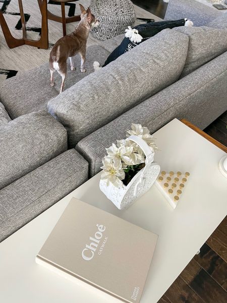 Chloe coffee table book. 

Room refresh, area rug, throw pillow, vase, designer dupe

#LTKunder100 #LTKhome #LTKFind