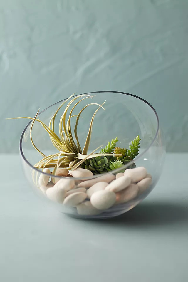 Angled Circular Terrarium, Large | Anthropologie (US)