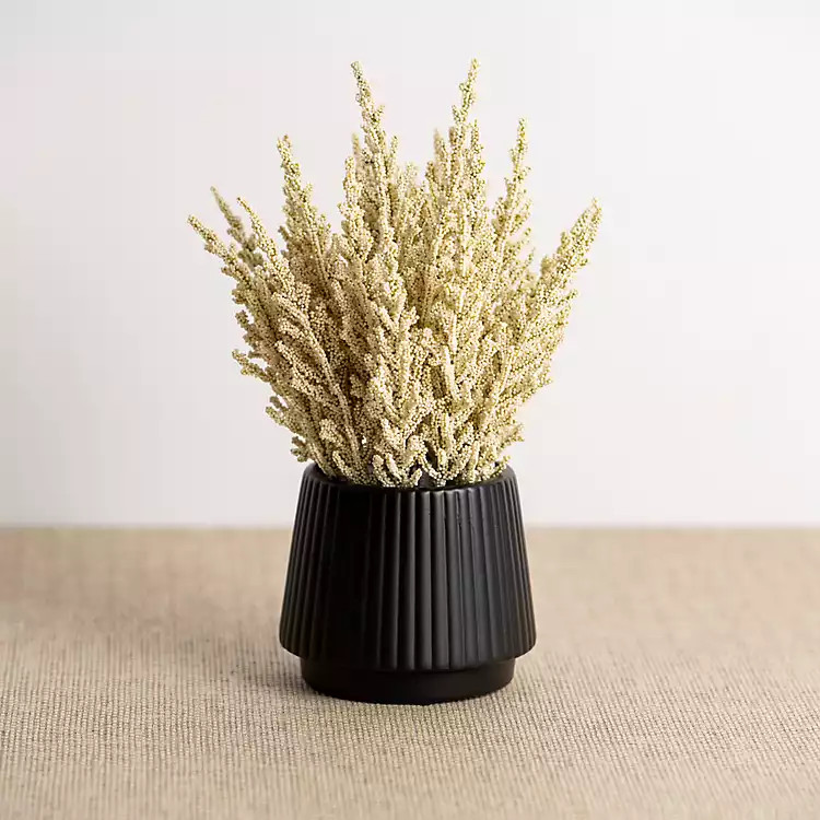 Cream Wheat Arrangement in Black Planter | Kirkland's Home