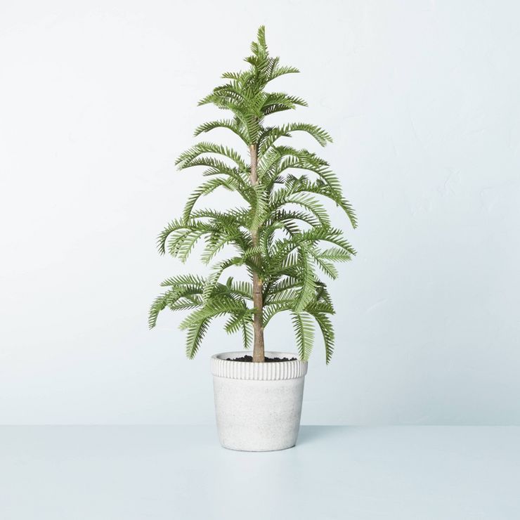 Faux Balsam Fir Tree in Washed Cement Pot - Hearth & Hand™ with Magnolia | Target