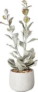 Creative Co-Op Succulent in Cement Pot Faux Botanical, Grey | Amazon (US)