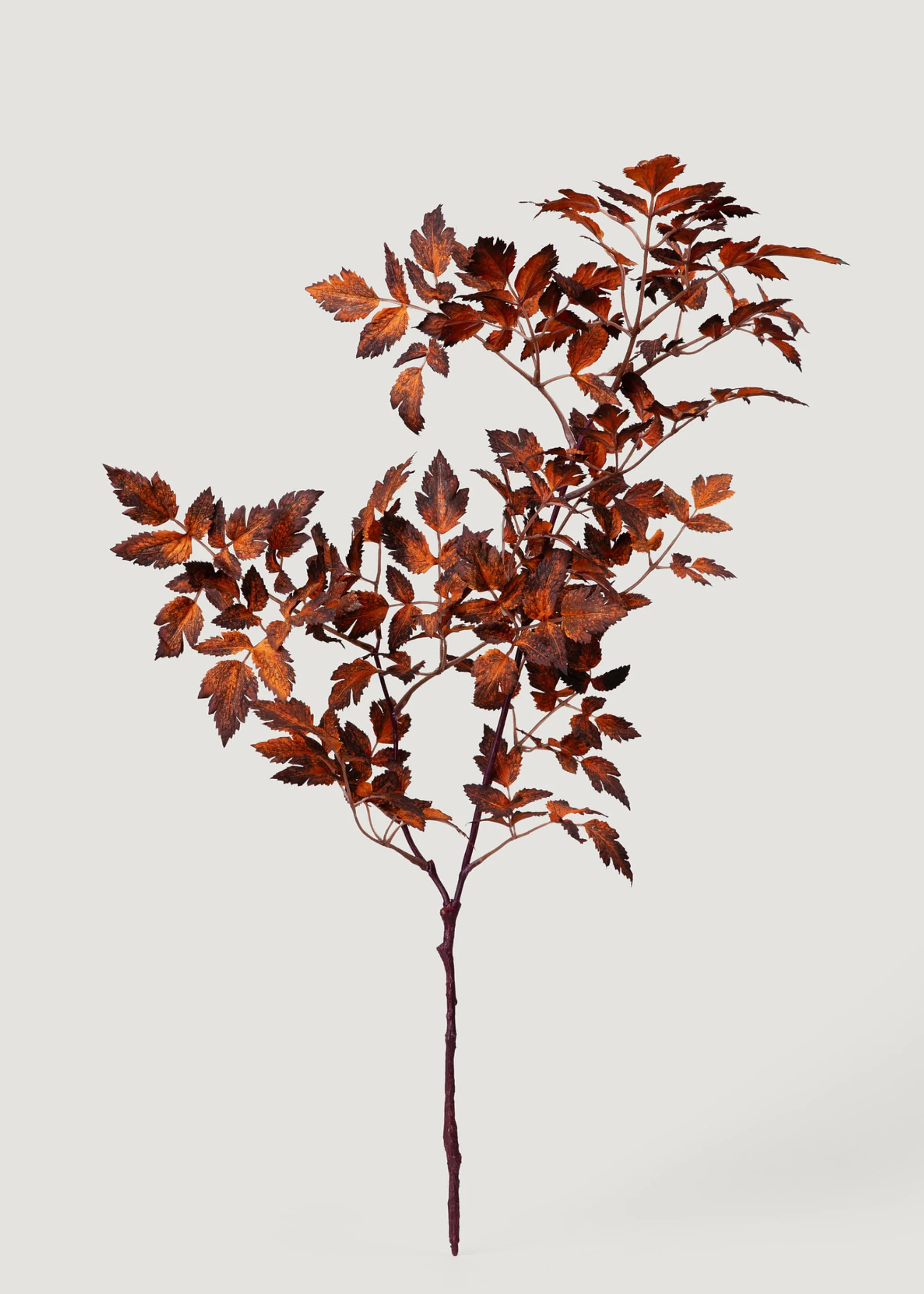 Faux Brown Cimicifuga Spray | Artificial Fall Leaves | Afloral | Afloral