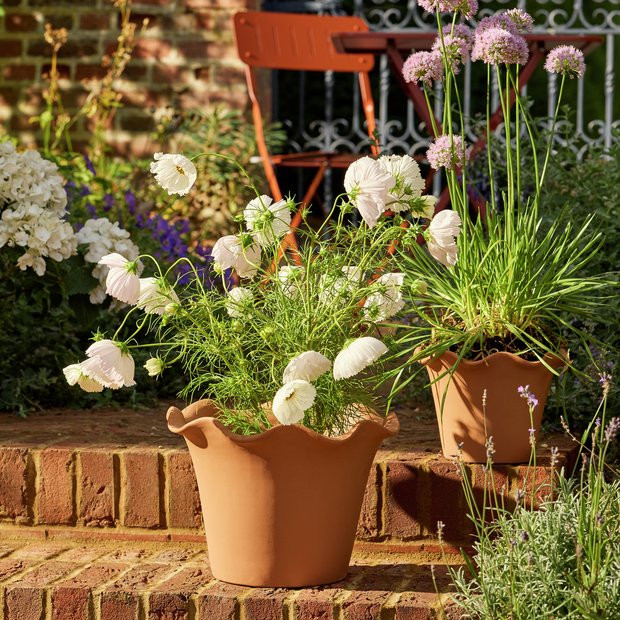 Buy Habitat Scalloped 28.5cm Clay Planter – Large | Garden planters and pots | Habitat | Habitat UK