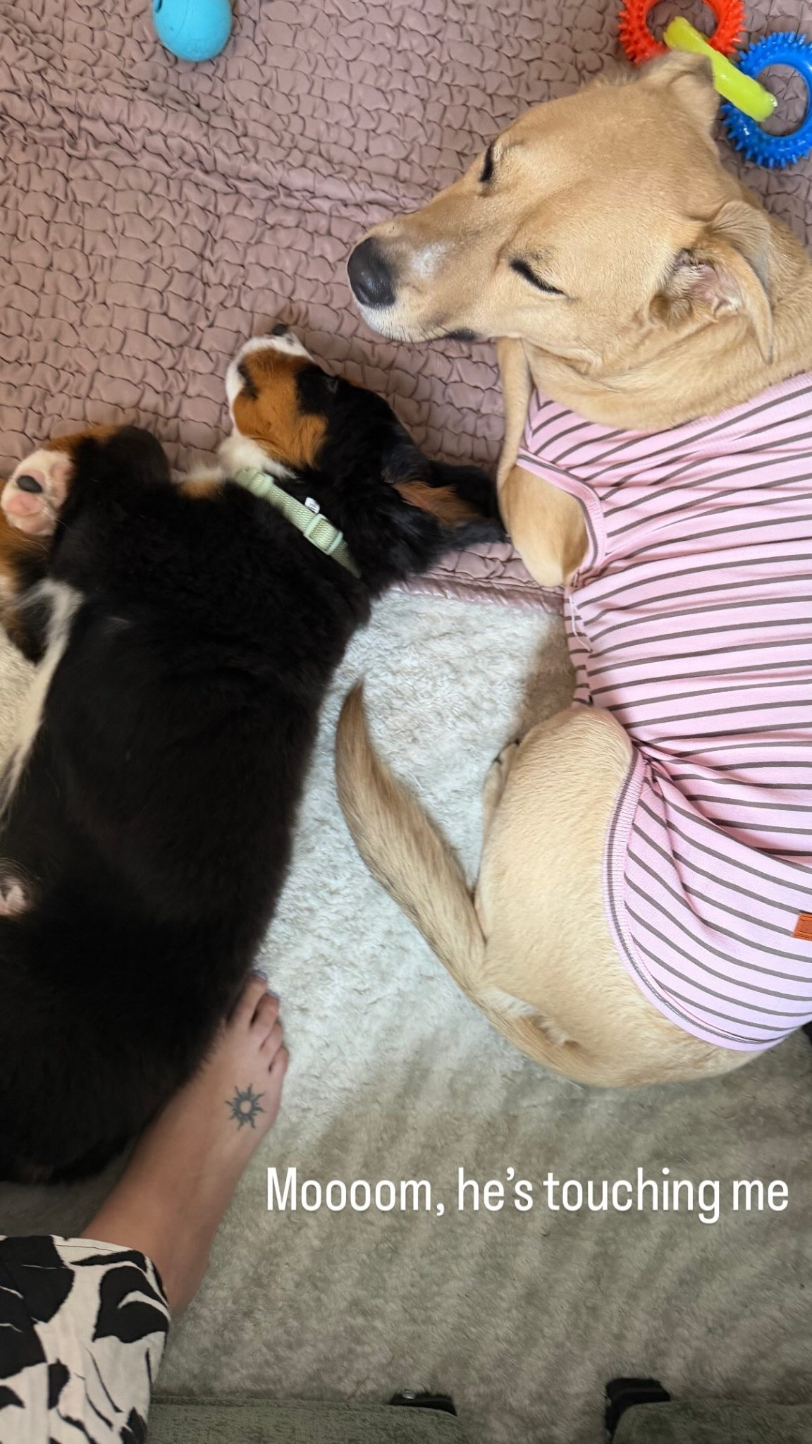 Moooom, he’s touching me
