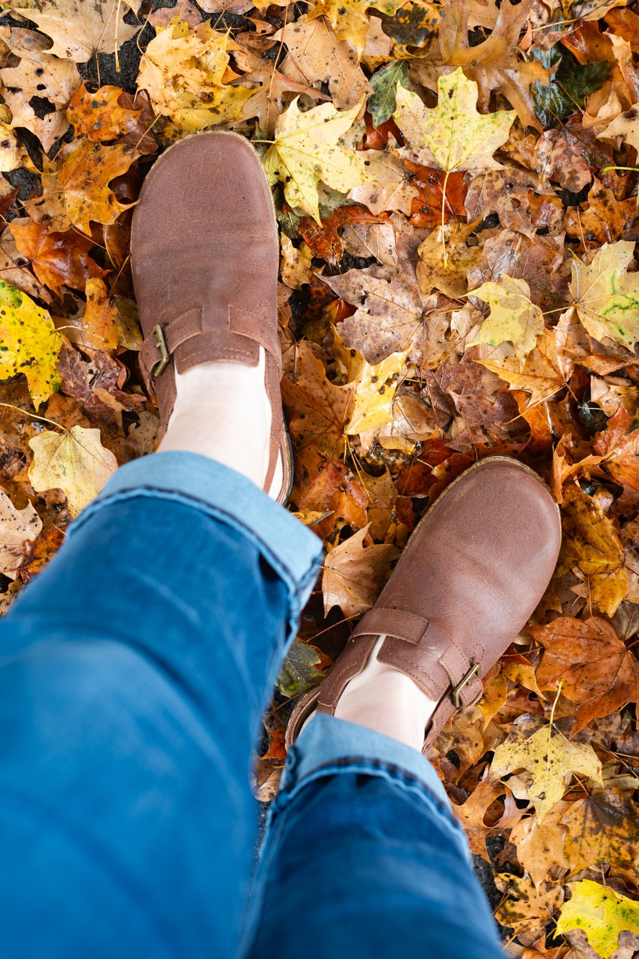 New favorite clogs for fall! These are the Elmonte clogs from Earth Shoes.  Mine are in Brown, but they come in several colors of genuine leather. These are so comfortable and versatile. They are a fall staple. 

#LTKSeasonal #LTKshoecrush #LTKstyletip