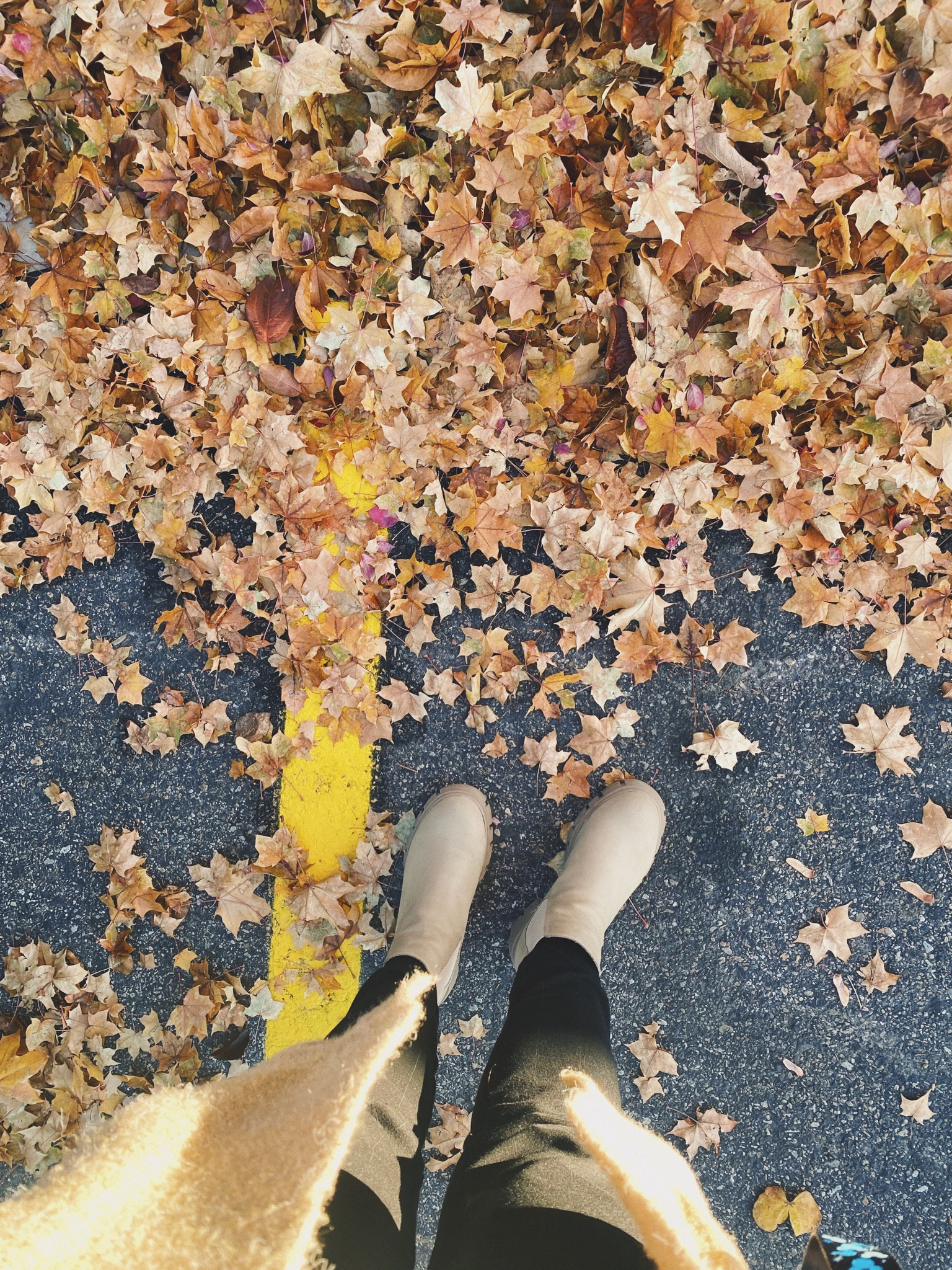 Seasonal Outfits 🍂

Boots • Cardigan Sweater 

boots Sam Edelman nude beige cardigan sweater cozy warm winter outfits autumn outfit fall for cold weather under $50 under $100 under $40

#LTKfindsunder100 #LTKHoliday #LTKSeasonal