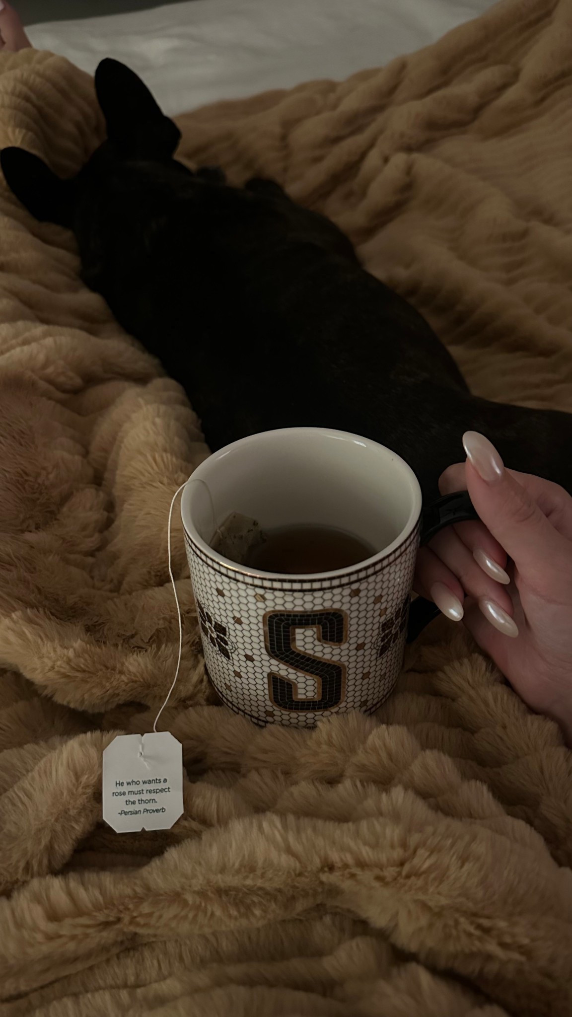 the nightly routine 🍂 spearmint tea + puppy cuddles

#LTKFallSale #LTKFindsUnder50 #LTKHome