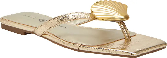 The Camie Shell Flip Flop (Women) | Nordstrom
