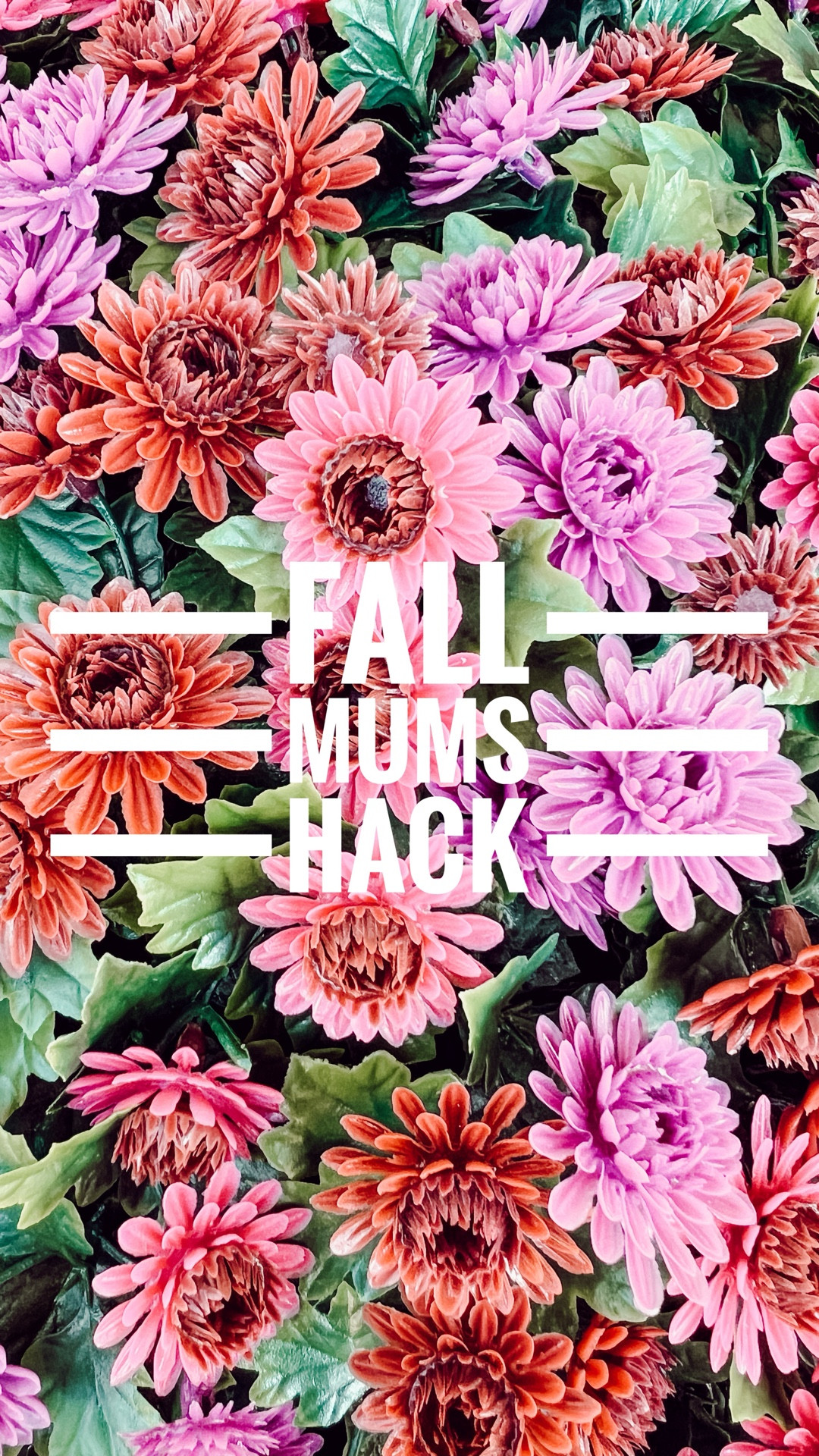 I’m so obsessed with these faux mums that I ended up ordering even more! Can’t wait to start styling my porch now!! 

#LTKHome #LTKFallSale #LTKSeasonal