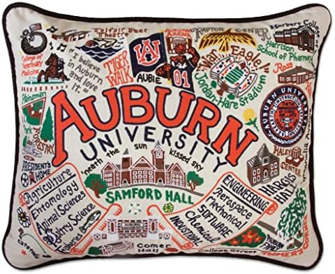 Catstudio Auburn University Collegiate Embroidered Decorative Throw Pillow | Amazon (US)