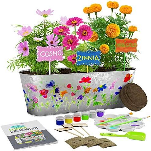 Paint & Plant Flower Growing Kit - Kids Gardening Science Gifts for Girls and Boys Ages 4 5 6 7 8... | Amazon (US)