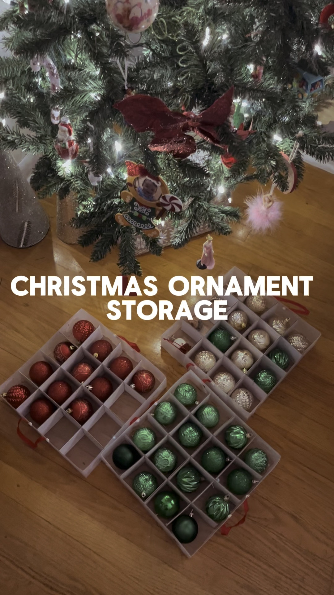 Sattiyrch Plastic Christmas Ornament Storage Box with Dual Zipper