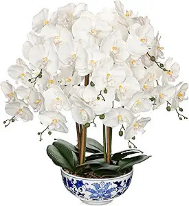 Briful Large Orchid Fake Flower in Blue and White Porcelain Bowl 24.8" White Orchid Silk Floral A... | Amazon (US)