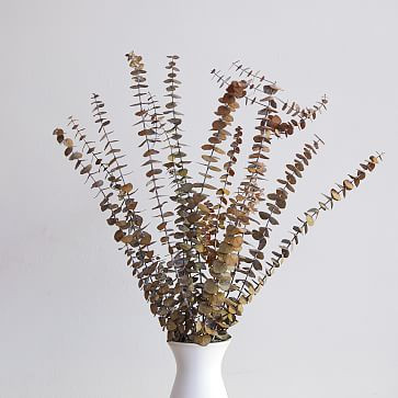 Dried Eucalyptus Bundle - Yellow | West Elm (US)