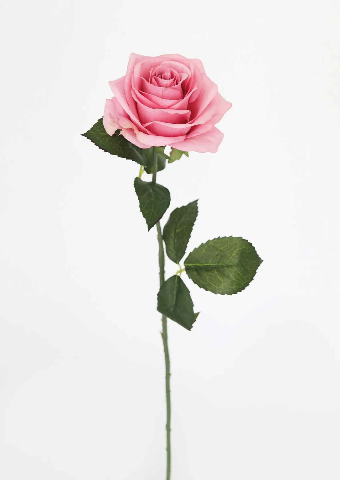 Cottage Pink Fake Rose - 21.5" | Afloral (US)