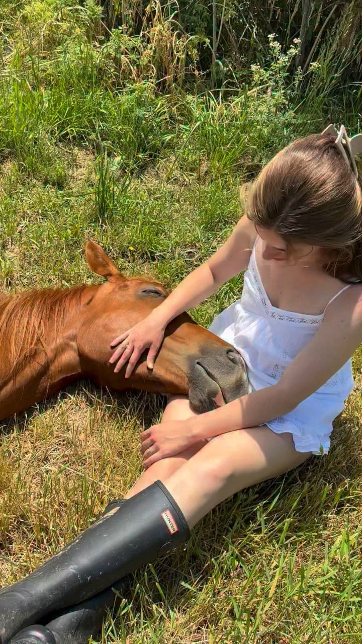 What I would do for a Sunday afternoon like this. I miss you Roobs 🩷 #fyp #horse #slowlifestyle