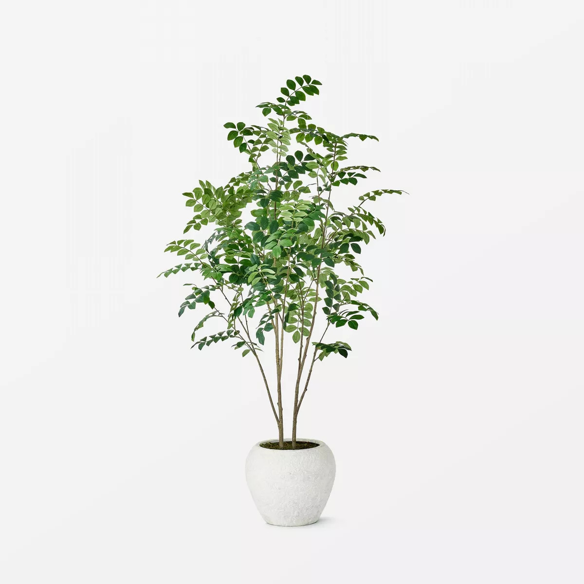 Moringa Artificial Tree Green - Threshold™ designed with Studio McGee: Unlit, Polyester, Indoor... | Target
