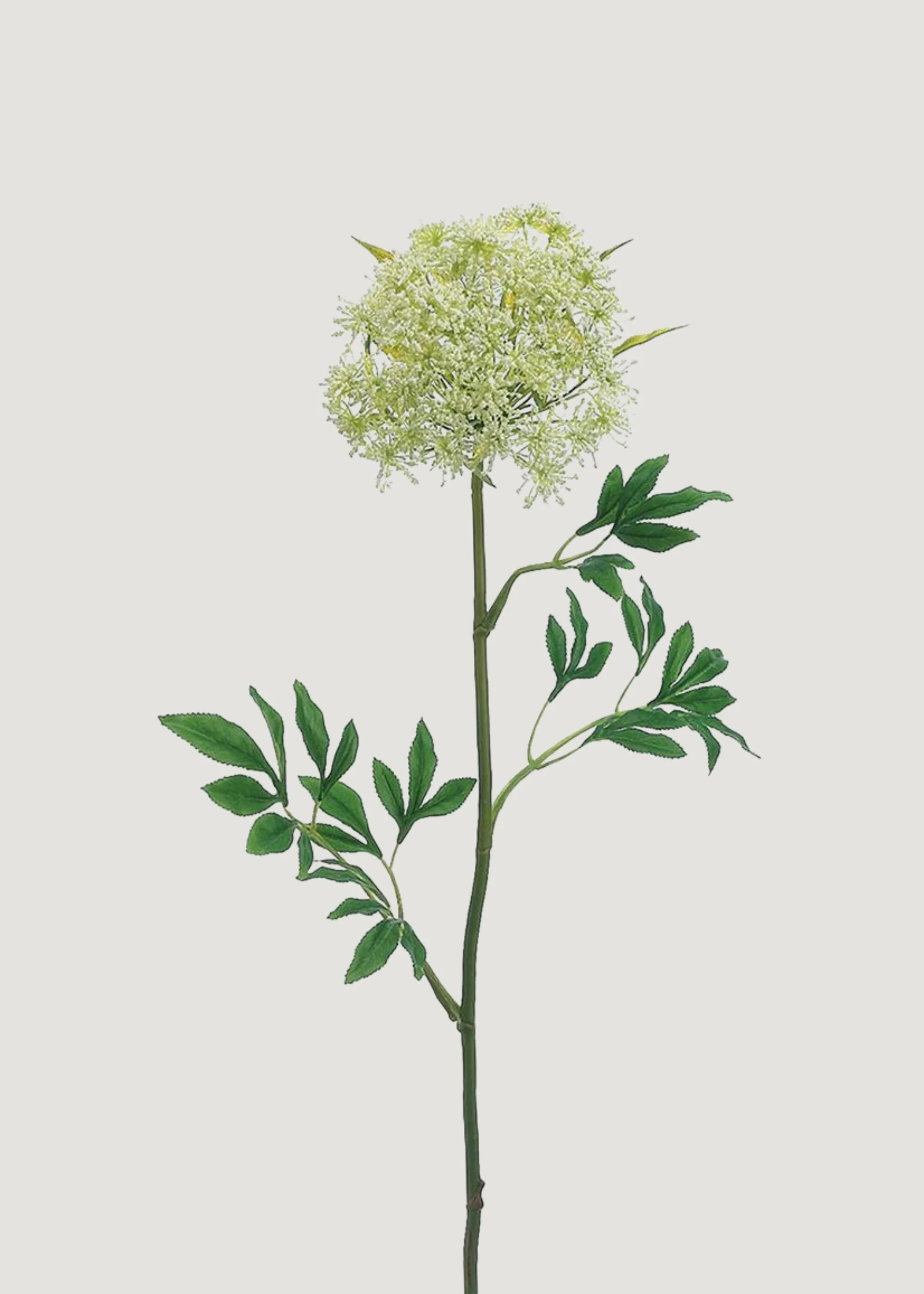 Tall Artificial Queen Anne's Lace Wildflower - 31" | Afloral