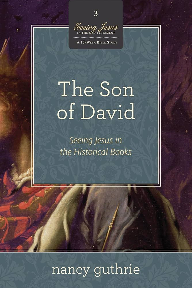 The Son of David: Seeing Jesus in the Historical Books (A 10-week Bible Study) (Volume 3) (Seeing Jesus in the Old Testament, 3) | Amazon (US)