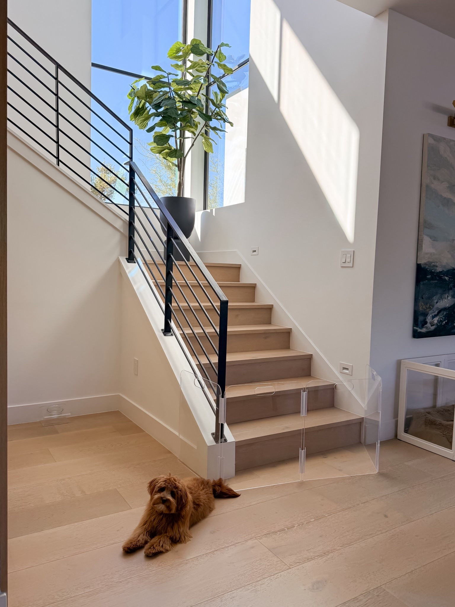 Some of our favs for Remy!

#LTKHome