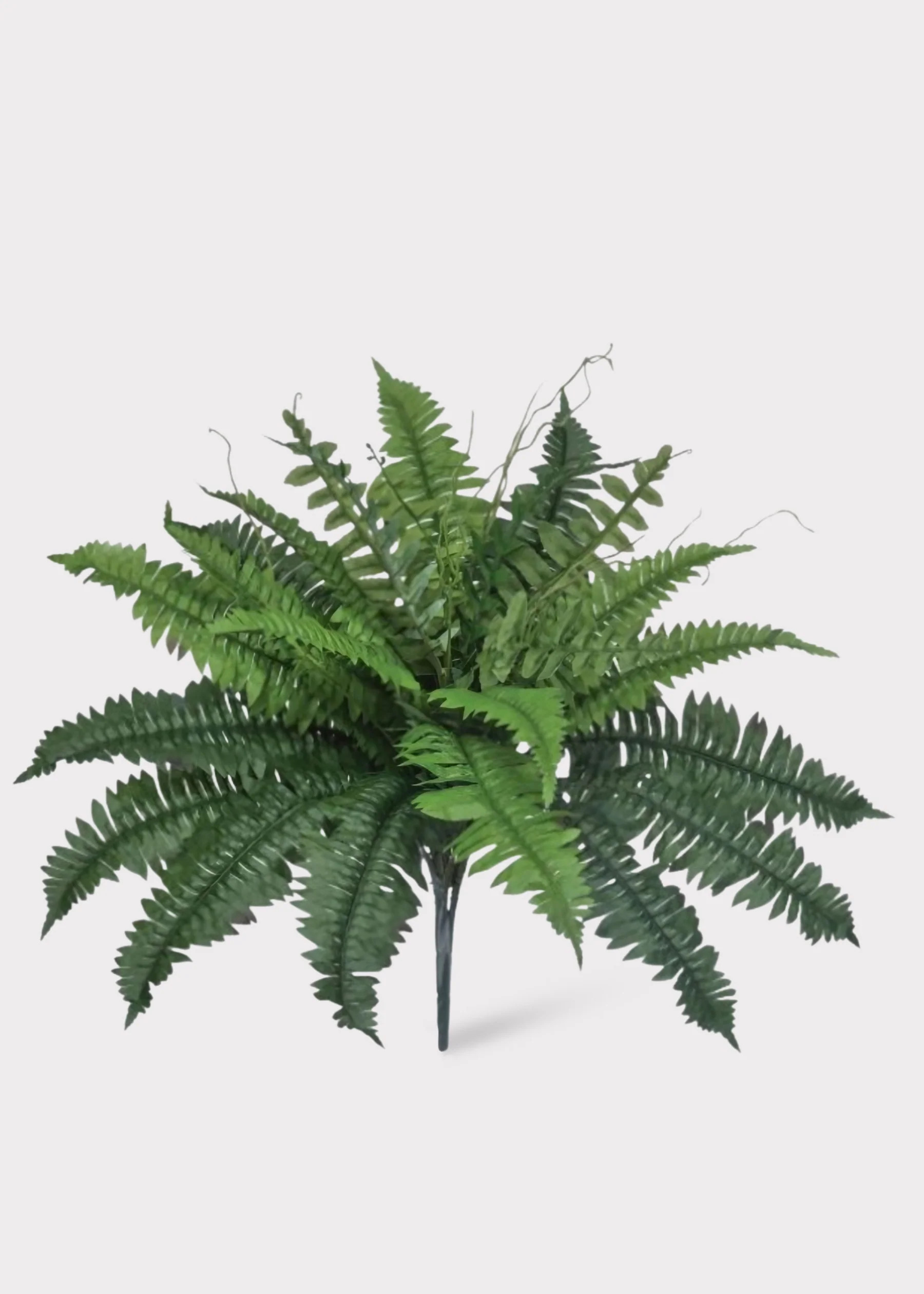 UV Treated Estate Fern | Artificial Outdoor Plants | Afloral | Afloral