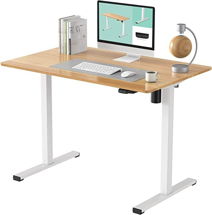 FLEXISPOT Standing Desk 48 x 24 Inches Height Adjustable Desk Whole-Piece Desktop Electric Stand ... | Amazon (US)