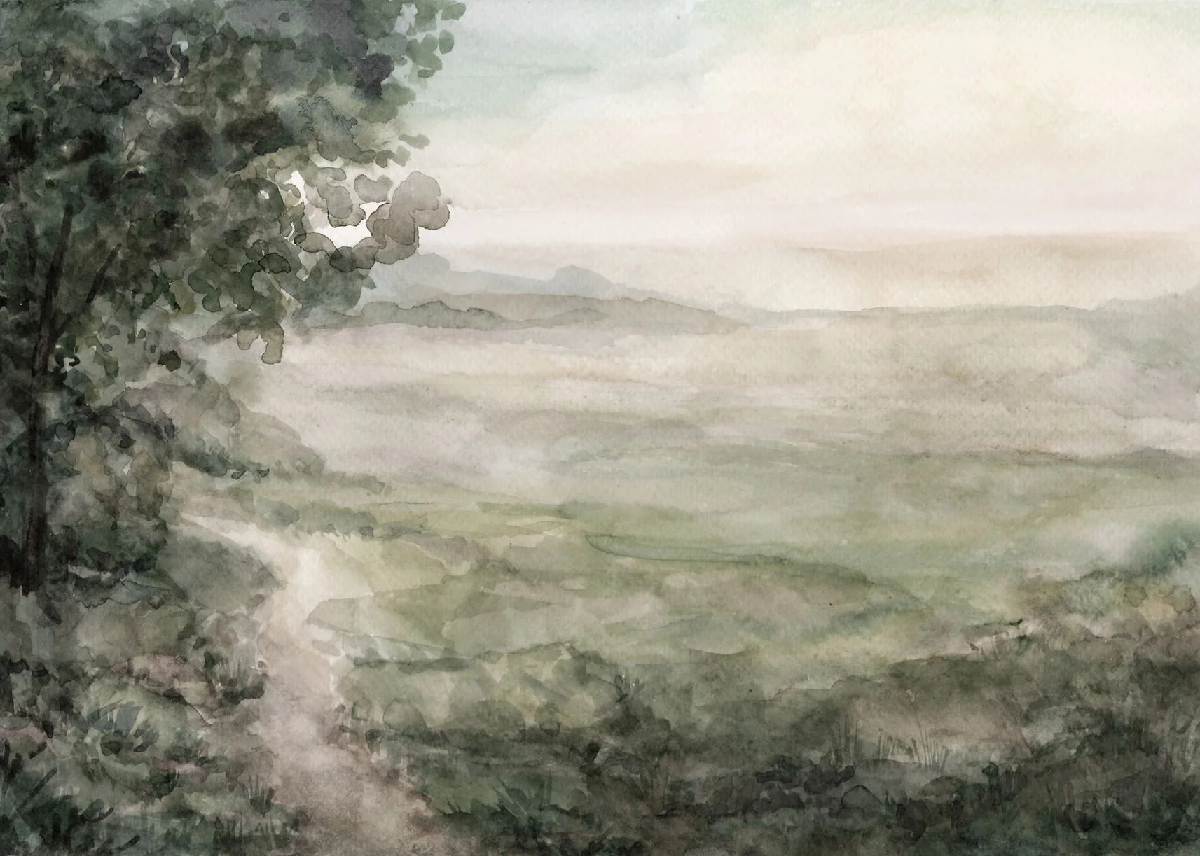 Meadow Path | Collection Prints