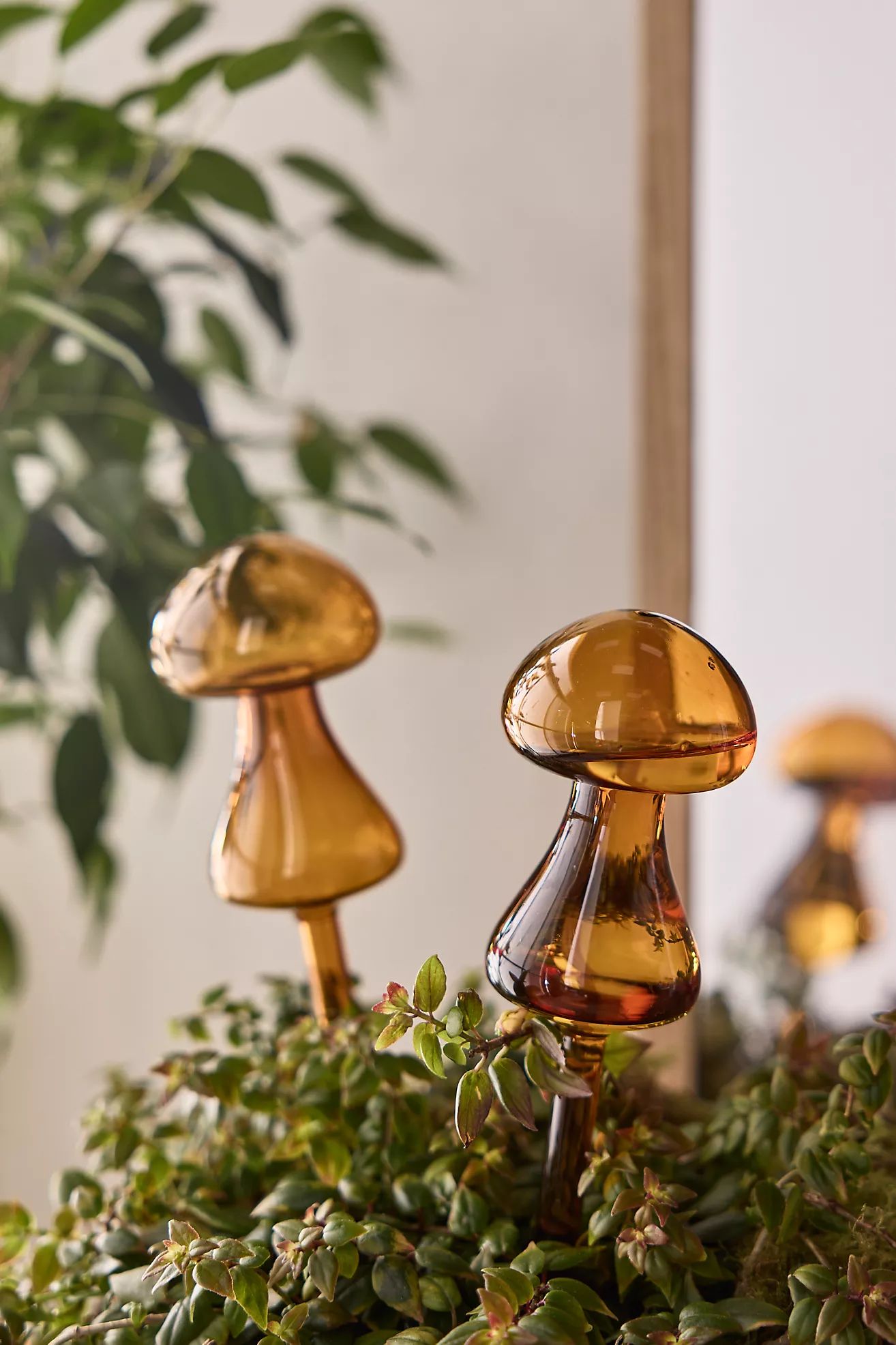 Mushroom Watering Globes, Set of 2 | Terrain