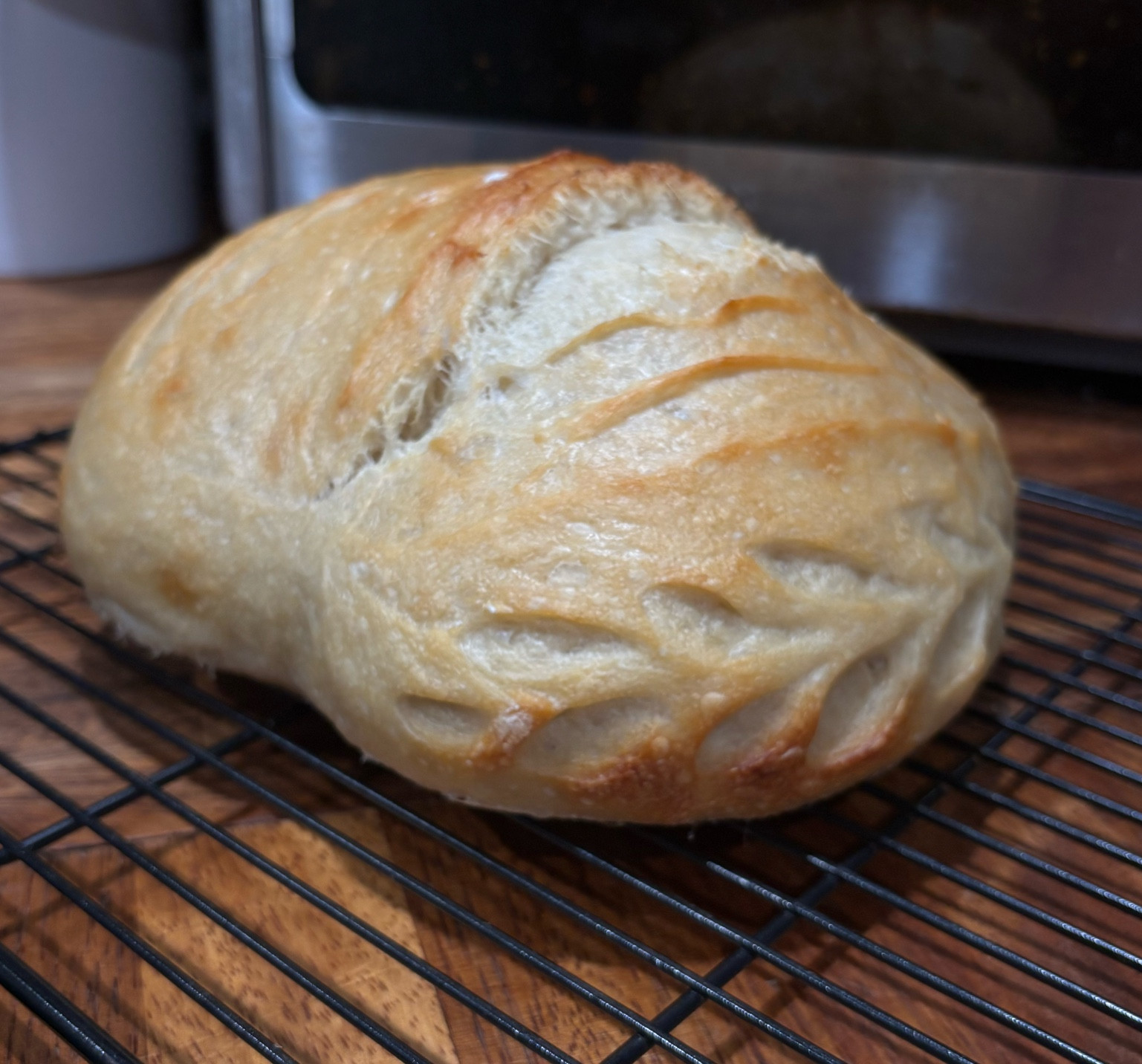 Sourdough/homesteading favs! Thanksgiving day loaf came out perfect!!!

#LTKSeasonal #LTKHoliday #LTKHome