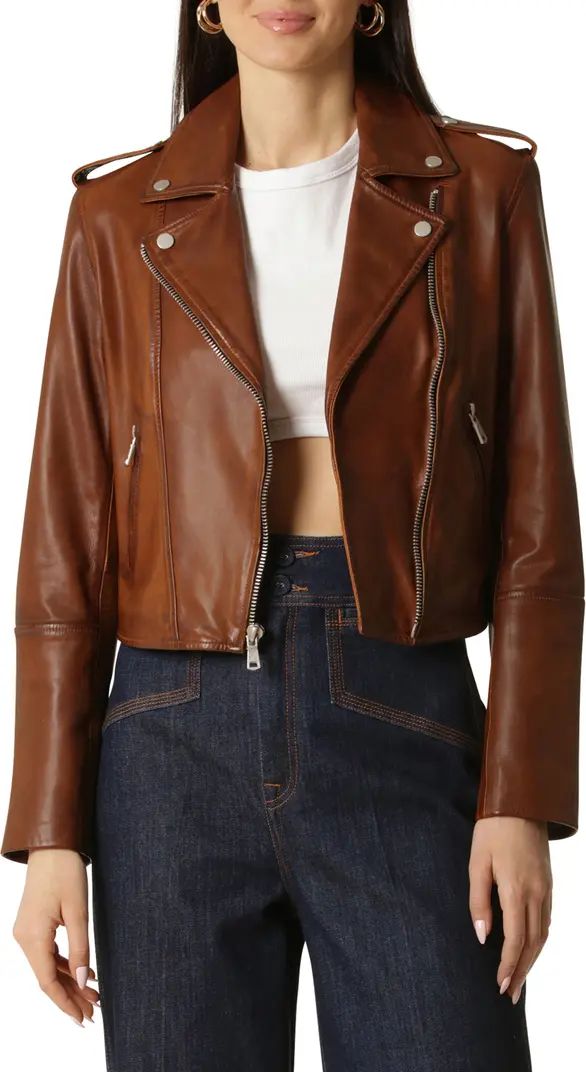 Leather Biker Jacket | Nordstrom