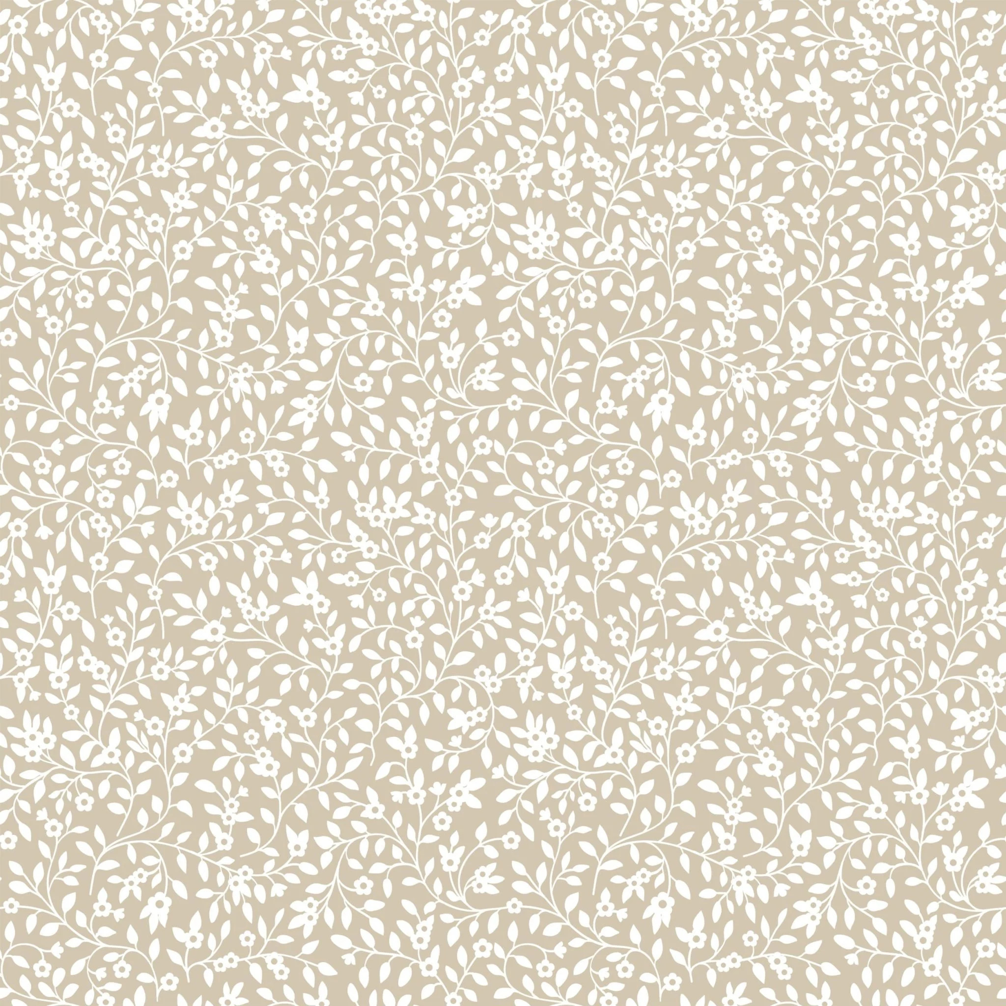 Delicate Flowers | North and Finch